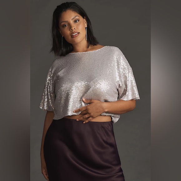 Anthropologie Tops - Anthropologie by Anthropologie Sequin Cropped Tee Grey Size XL